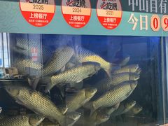-淘米捞·米汤脆鲩鱼火锅(福田皇岗店)