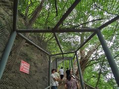 -辋川溶洞