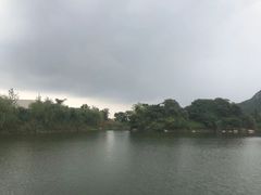 -桃花岛景观公园