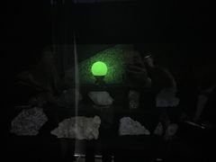 -中国地质大学逸夫博物馆