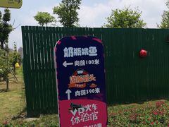 -菊园百果园