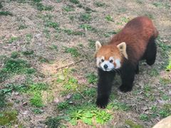 -上海野生动物园