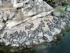 -八景休閒山莊  廣東十大名山莊