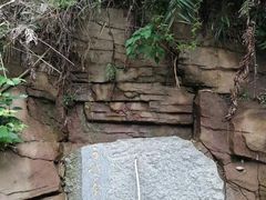 -南海湾森林生态园