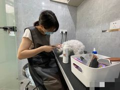 -四月宠物医院·猫专科·心脏专科·内科(转塘店)