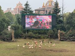 -郑州银基黄帝宫御温泉