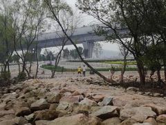 -宝安西湾红树林湿地公园