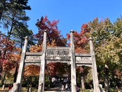 -西山人家·传统苏帮菜·家宴(木渎店)