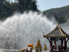 -西双版纳原始森林公园