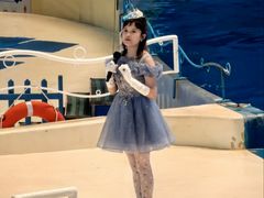 -泉城欧乐堡海洋极地世界