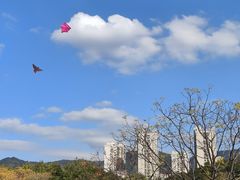 -牛岗山公园