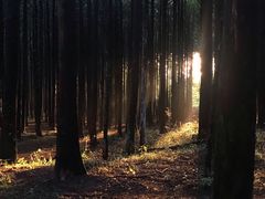 -山王坪喀斯特国家生态公园