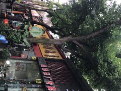 -老黄记手撕烤兔(玉林街店)