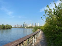 -长白岛森林公园