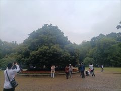 -灵谷景区