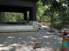 -穹窿山景区