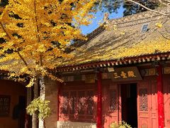 -少华山国家森林公园