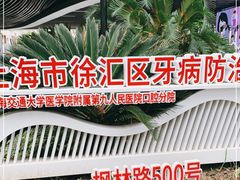-上海市徐汇区口腔医院
