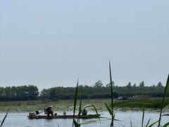 -微山岛春天里酒家
