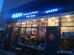 -花木兰花艺MULAN(温馨花园店)