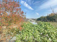 -上海海湾国家森林公园