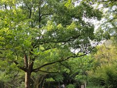 -黄公望隐居地