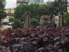 -大可堂普洱茶馆(襄阳南路馆)