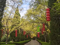 -大槐树寻根祭祖园
