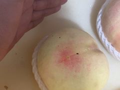 -老袁家蜜桃农场·阳山水蜜桃