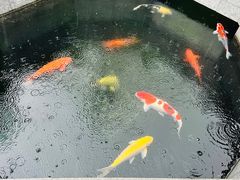 -西安市广仁寺