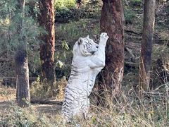 -云南野生动物园