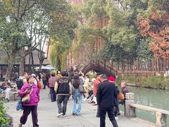 -乌镇东栅景区