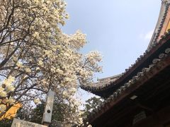 -龙华寺