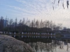 -滨湖塘西河公园