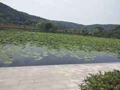 -龙寺生态园
