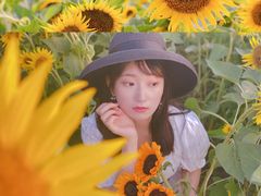 -西青郊野公园