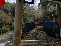 -火炉山森林公园
