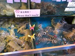 -南丫岛
