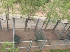 -青藏高原野生动物园