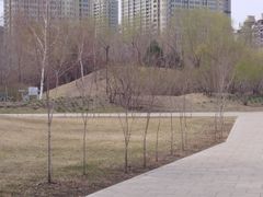 -群力丁香公园