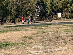 -嘉北郊野公园