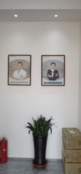-赵大夫减肥