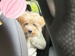 -萌宠主义宠物生活馆(金山路店)