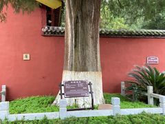 -武侯墓风景区