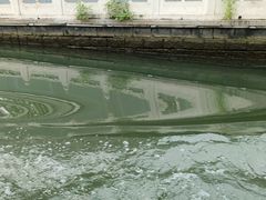 -皇家御河游(紫御湾码头)