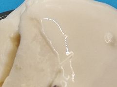 -凤城·食都