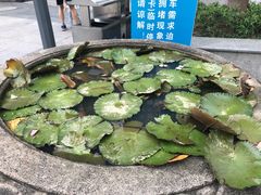 -坂田手造文化街