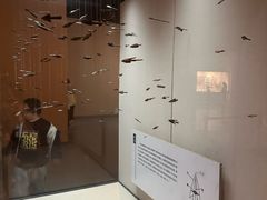 -临沂市博物馆