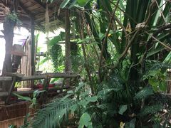 -Jungle Kitchen