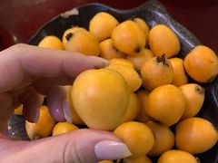 -蘑统田下·野生菌火锅